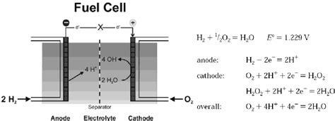 Figure From Determination Of Adsorption And Activation Volumes And