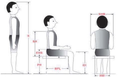 Anthropometric variables 2.3. FURNITURE MEASUREMENTS For the school ...