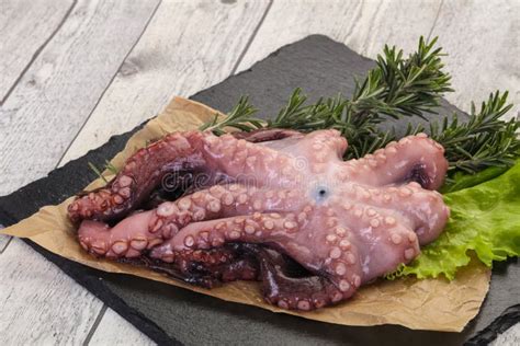 Pulpo Crudo Listo Para Cocinar Foto De Archivo Imagen De Entero