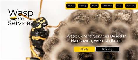 Wasp Nest Treatment And Removal £55 West Midlands