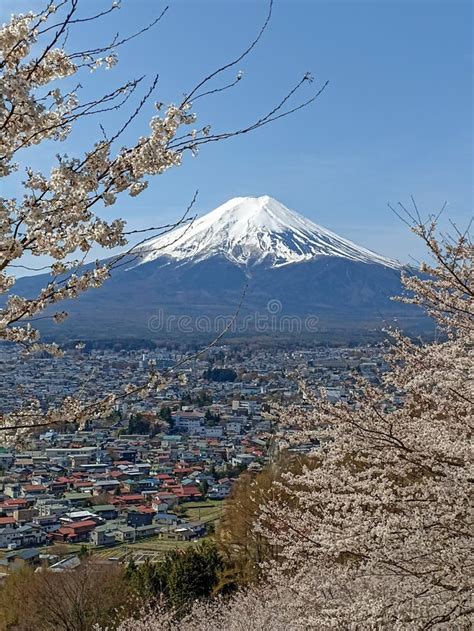 Mount Fuji and Cherry Blossoms, Japan Stock Photo - Image of landscape ...