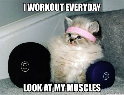 Workout Cat - NashuaNutrition.com