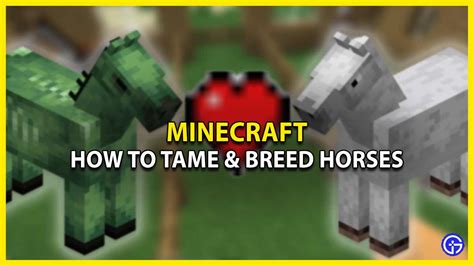 How To Tame And Breed Horses In Minecraft Steps