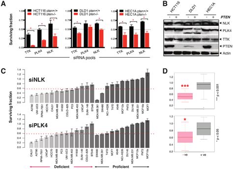 Validation Of The Pten Nlk Synthetic Lethality A Validation Of Pten