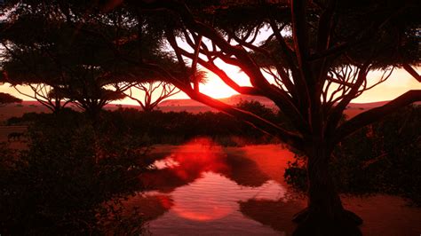 African Wild Dog Habitat : r/PlanetZoo