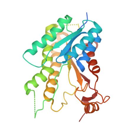 Rcsb Pdb Gn Structure Of Pteridine Reductase Ptr From