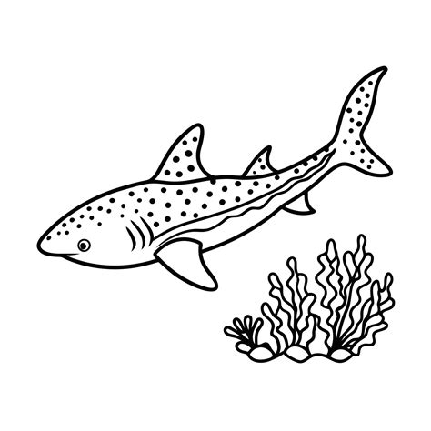 leopard shark line art 4