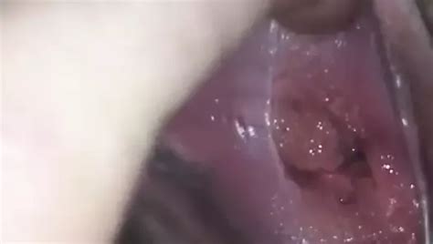 Free Bonne Chienne Porn Videos XHamster