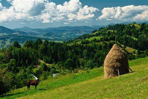 Locuri De Vizitat In Maramures Obiective Turistice Minimapro Porn