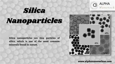 Silica Nanoparticles.pptx