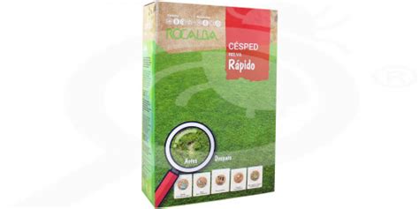 Lawn Seeds Fast Sowing 1 Kg Seeds Rocalba Nexles Europe