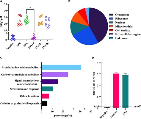 Frontiers Extracellular Vesicles Derived From Talaromyces Marneffei