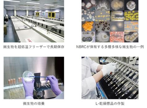 二酸化炭素（co2）を直接利用する微生物によるバイオものづくりの促進事業を開始｜独立行政法人製品評価技術基盤機構のプレスリリース