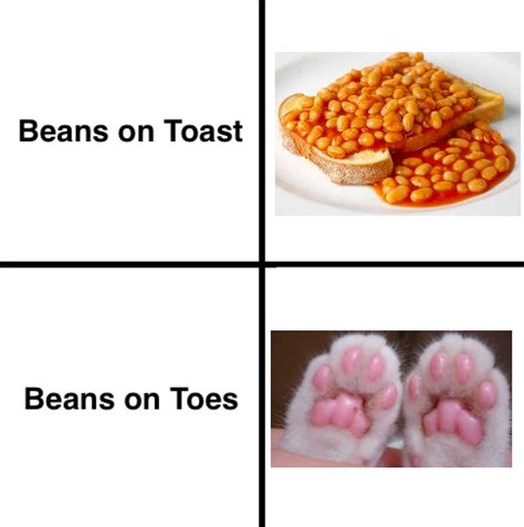 Beans Beans They Re Good For Your Heart R Wholesomememes