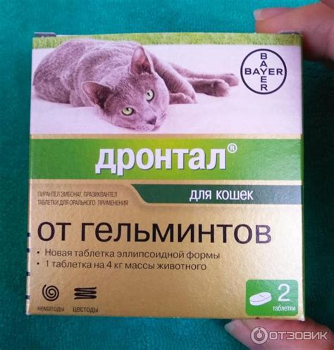 Дронтал для кошек: инструкция по применению, отзывы, аналоги