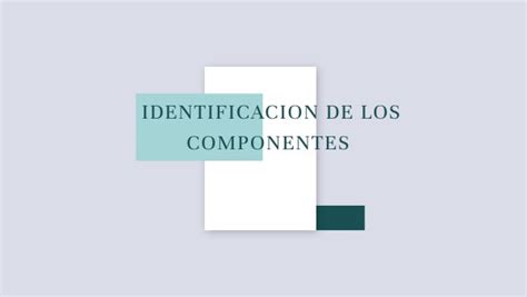 Identificacion De Los Componentes