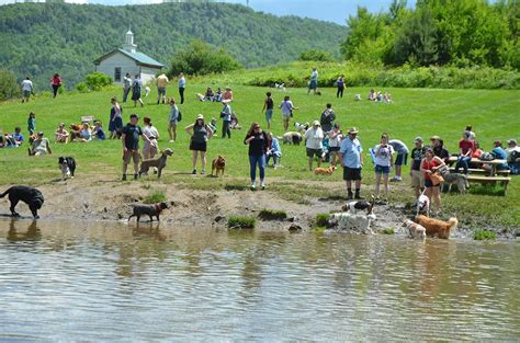 Nebraskas Heartland Havens Top Dog Parks In The Cornhusker State