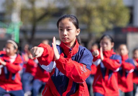 学习岳家拳 弘扬报国志 荆楚网 湖北日报网