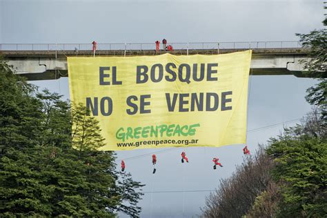 Fundación Greenpeace Argentina Greenpeace cumple 28 años de lucha en