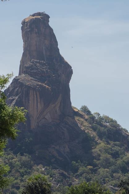 dass images    freepik