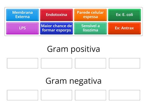 Gram Positiva X Gram Negativa Group Sort