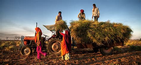 Strengthening The Indian Agriculture Ecosystem NITI Aayog