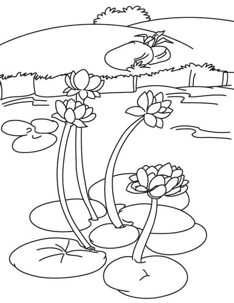 Desenhos De Lago Para Colorir Pintar E Imprimir Colorironline