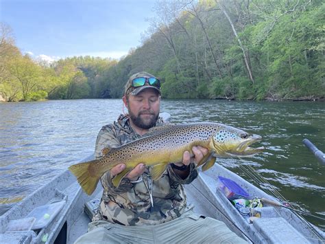 Watauga River Guided Trips Fly Fishing Watauga River Guides