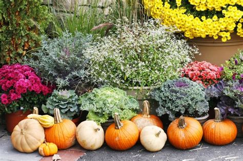 15 Garden Tips For September Walter S Greenhouses And Garden Centre