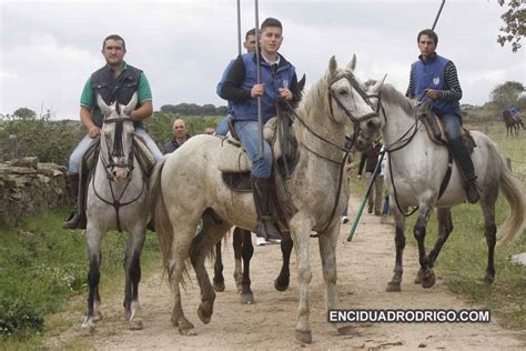 Ayuntamiento Gallegos De Arga An Galer A De Fotos Vistoso Encierro