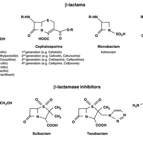 PDF Carbapenem Resistance In Enterobacteriaceae Here Is The Storm