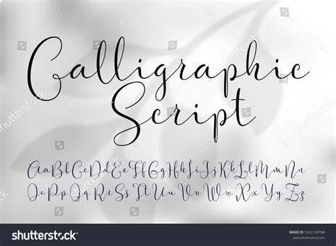 Vector Calligraphic Script Font Classic Style Stock Vector Royalty