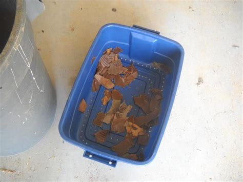 Vermicomposting: Easy and Efficient Composting with Worms - Garden.org