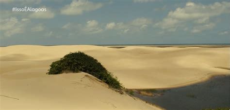 Dunas E Lagoas Impressionam Visitantes Em Pia Abu U No Litoral De