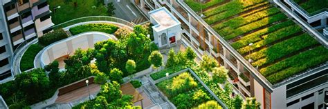 Green Roofs Save Energy in Cities and Fight Regional Climate Change ...