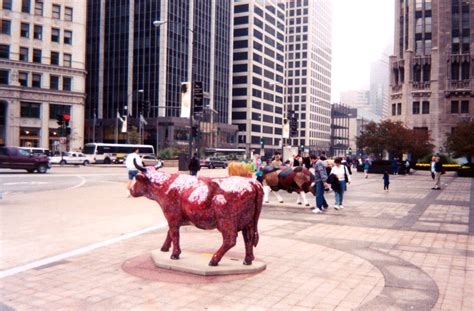 Chicago Cow 1999 Greenbeangirl74 Flickr