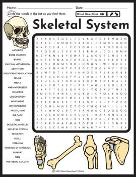 Skeletal System Word Search Puzzle By Word Searches To Print Tpt The