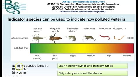 Gcse Biology 9 1 Sb9e G Biodiversity And Humans Part 1 Youtube