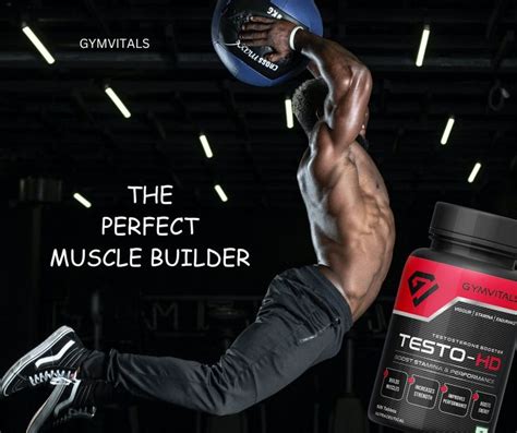 Gymvitals Testo Hd Testosterone Booster 60 Tablets Natural Testosterone Bodybuilding