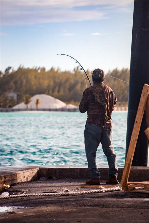 Msc Esta Es La Ong Que Apuesta Por La Pesca Sostenible