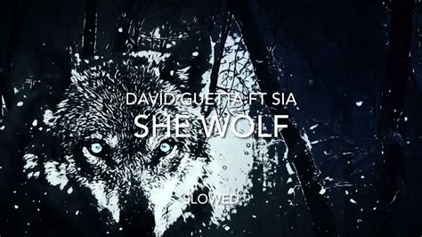 David Guetta Ft Sia She Wolf Slowed YouTube