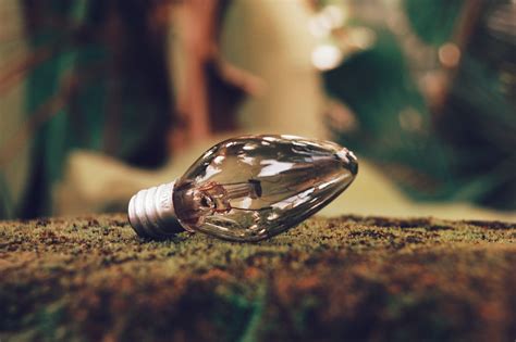 embracing green technology green tech hub