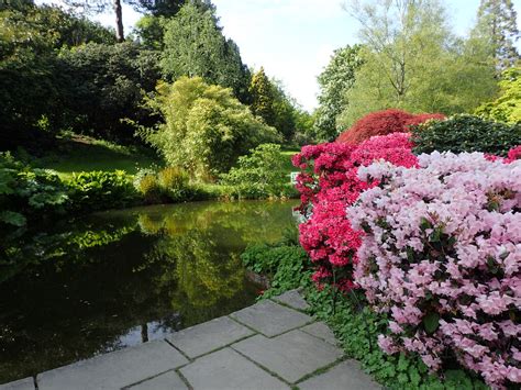 In The Garden At Chartwell Marathon Geograph Britain And Ireland