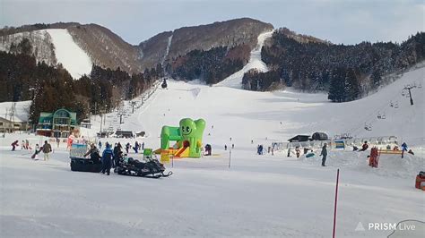 ライブ 野沢温泉スキー場 ナスキー号発着所日影 Nozawa Onsen Snow Resort Live Tour Wacoca