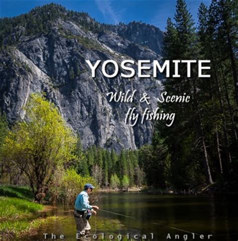 The Ecological Angler - Fly Fishing Merced River in Yosemite National Park