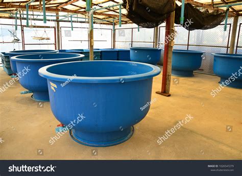 Agriculture Aquaculture Farm Stock Photo 1026547279 Shutterstock