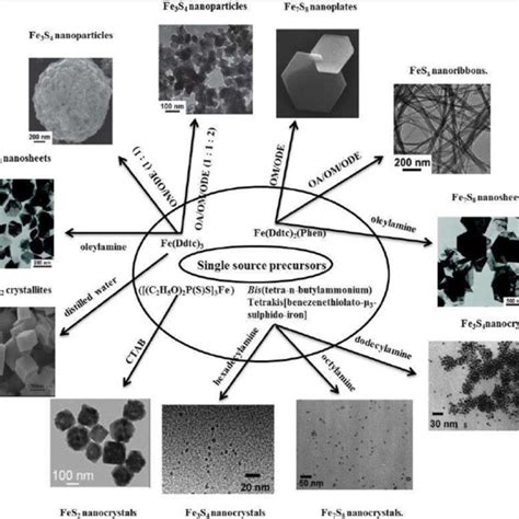 2: Schematic representation of different phases and morphologies of ...