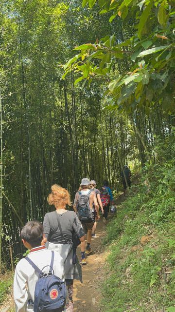 Sapa Private The Most Beautiful Terraced Fields Trekking Getyourguide