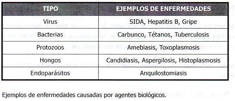 Definiciones Riesgo Biológico SatirNet Safety