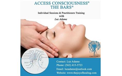 Access Consciousness Bars Session By The Joy Of Healing In Lakewood Ca